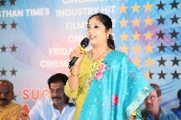 Sarangadariya Movie Success Meet